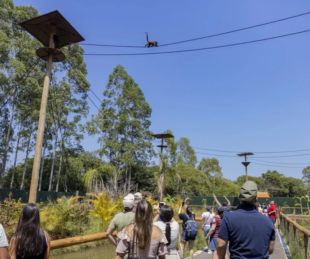 Aniversário do Eco Park Foz