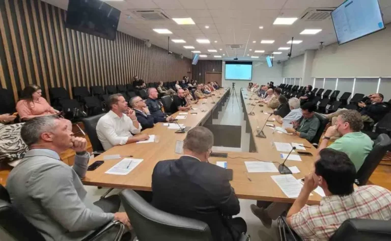 segurança pública e mobilidade em Foz do Iguaçu