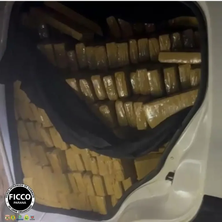 FICCO PR apreende mais de uma tonelada de droga em Dourados