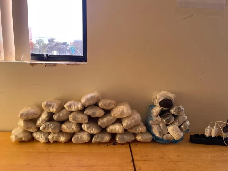PF e PM apreendem haxixe marroquino e maconha em Foz do Iguaçu