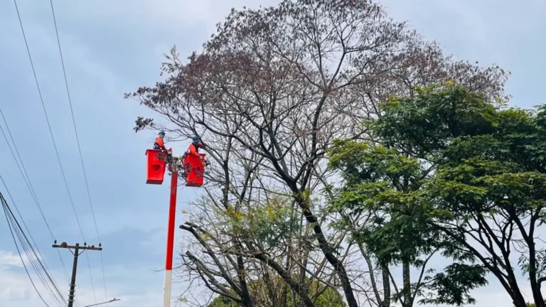 Mutirão de limpeza na Região Norte com poda e corte de árvores autorizadas
